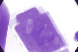 Body Parts Purple