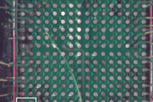PCB Pads 1C